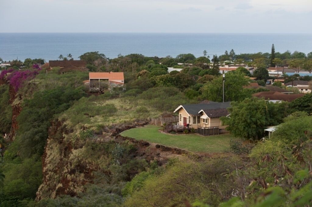 Photo of Others in Waimea