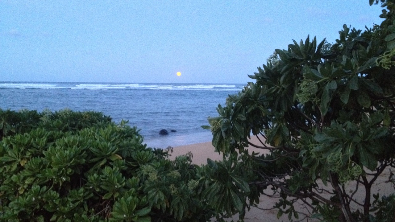 Photo of Others in Anahola