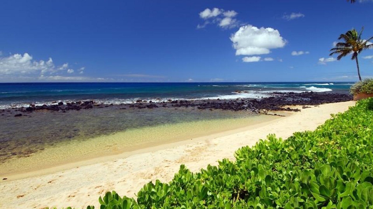Photo of Others in Poipu
