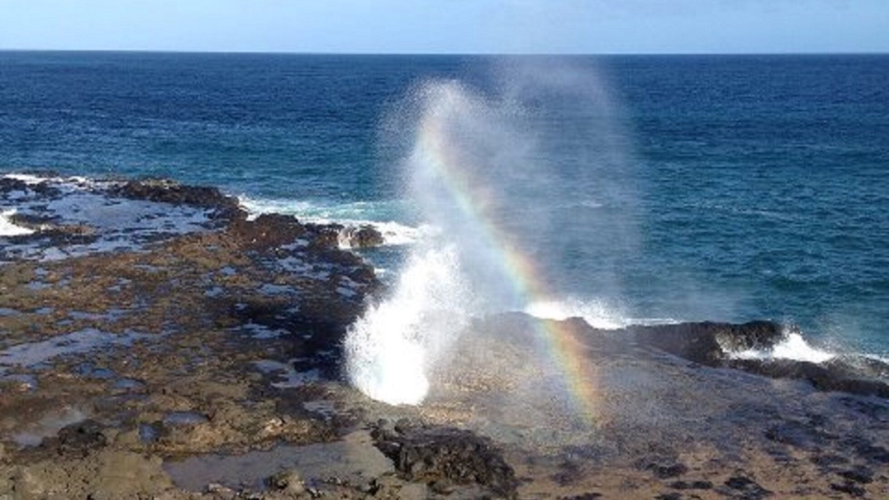 Photo of Others in Poipu
