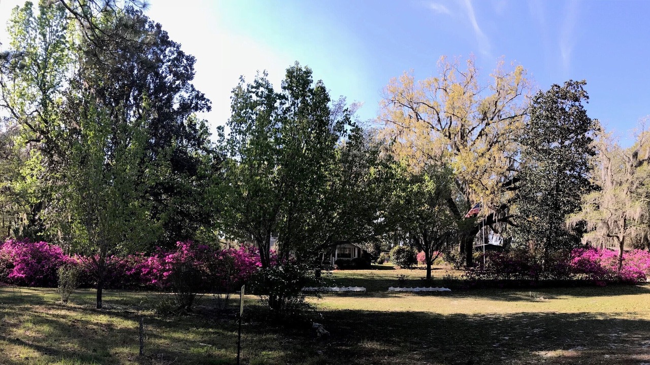 Photo of Others in Live Oak