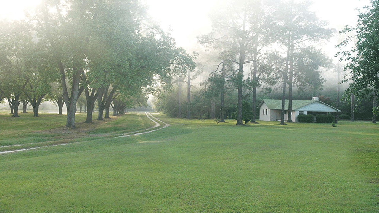 Photo of Others in Bainbridge