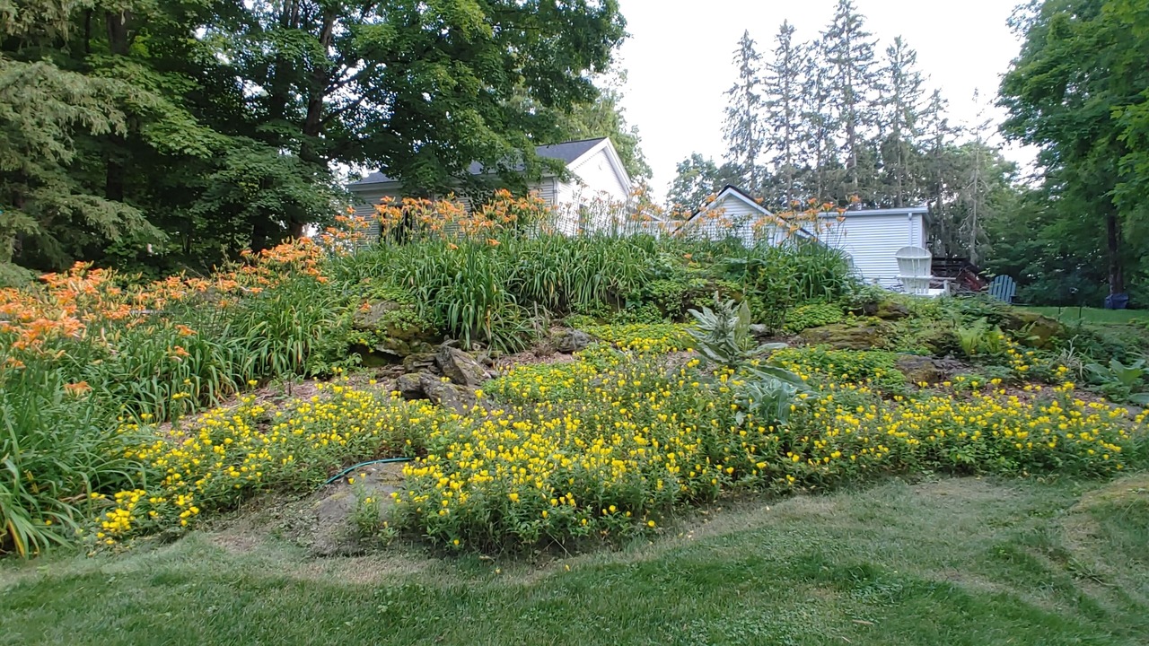 Photo of Outdoor in Greenfield Center