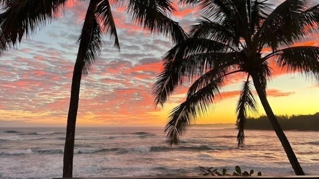 Photo of Others in Wainiha