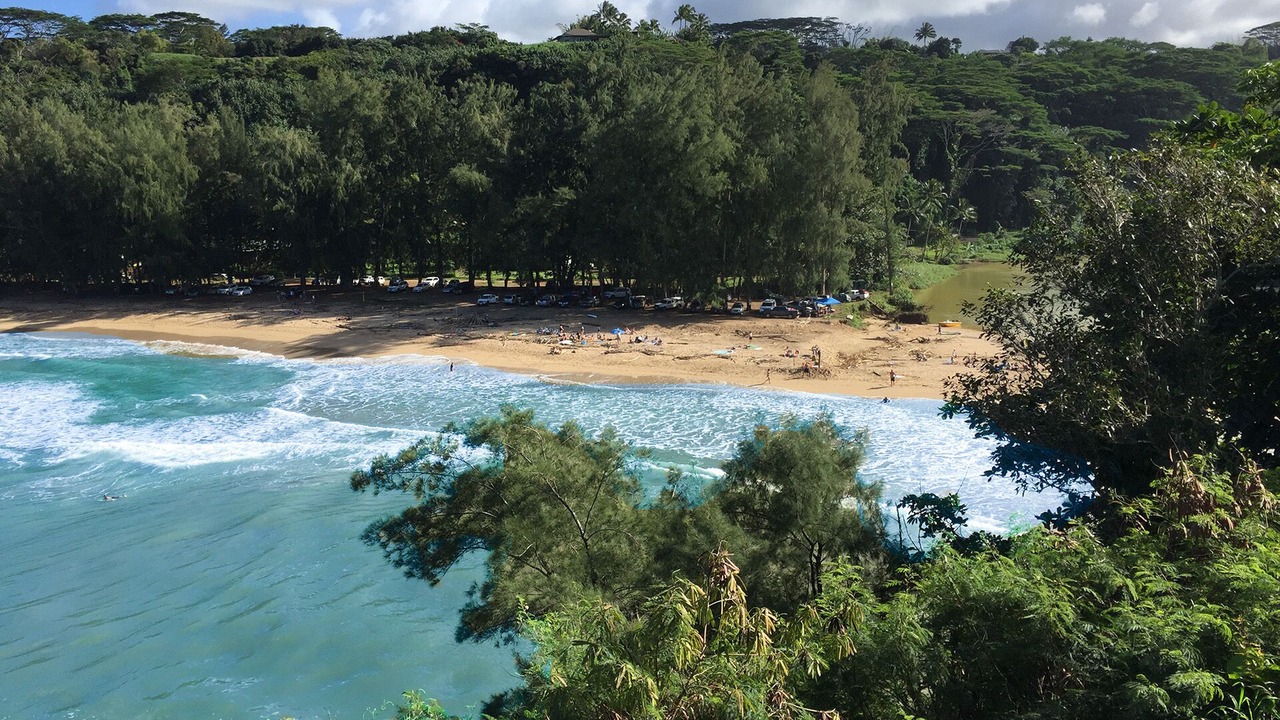Photo of Others in Kalihiwai