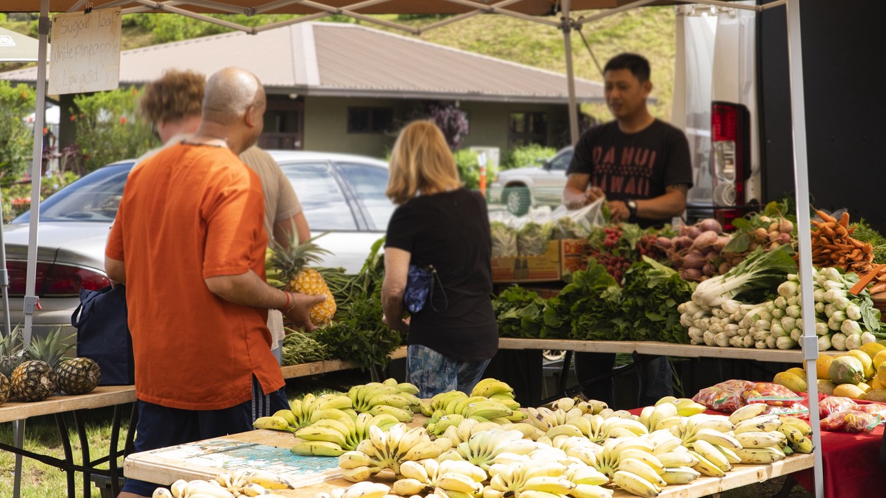 Photo of Others in Kalihiwai
