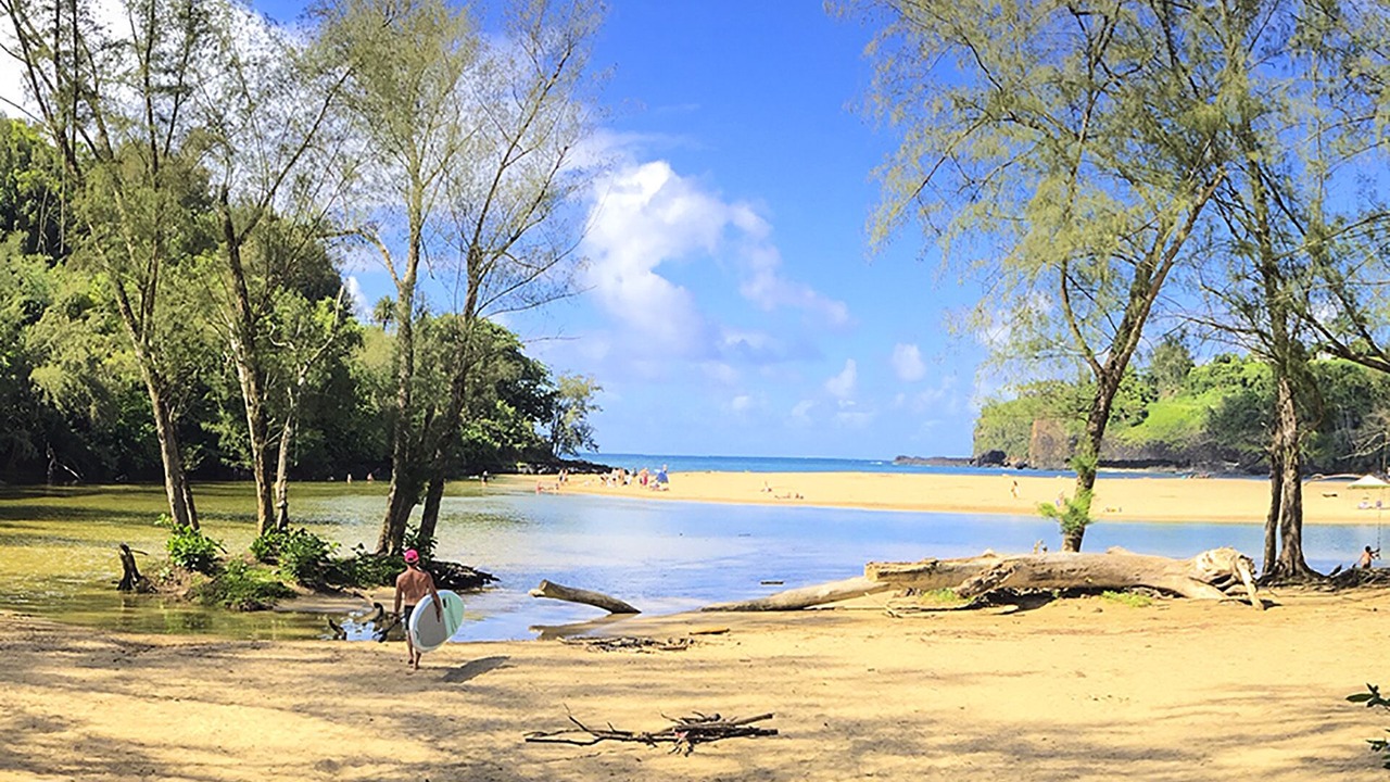 Photo of Others in Kalihiwai