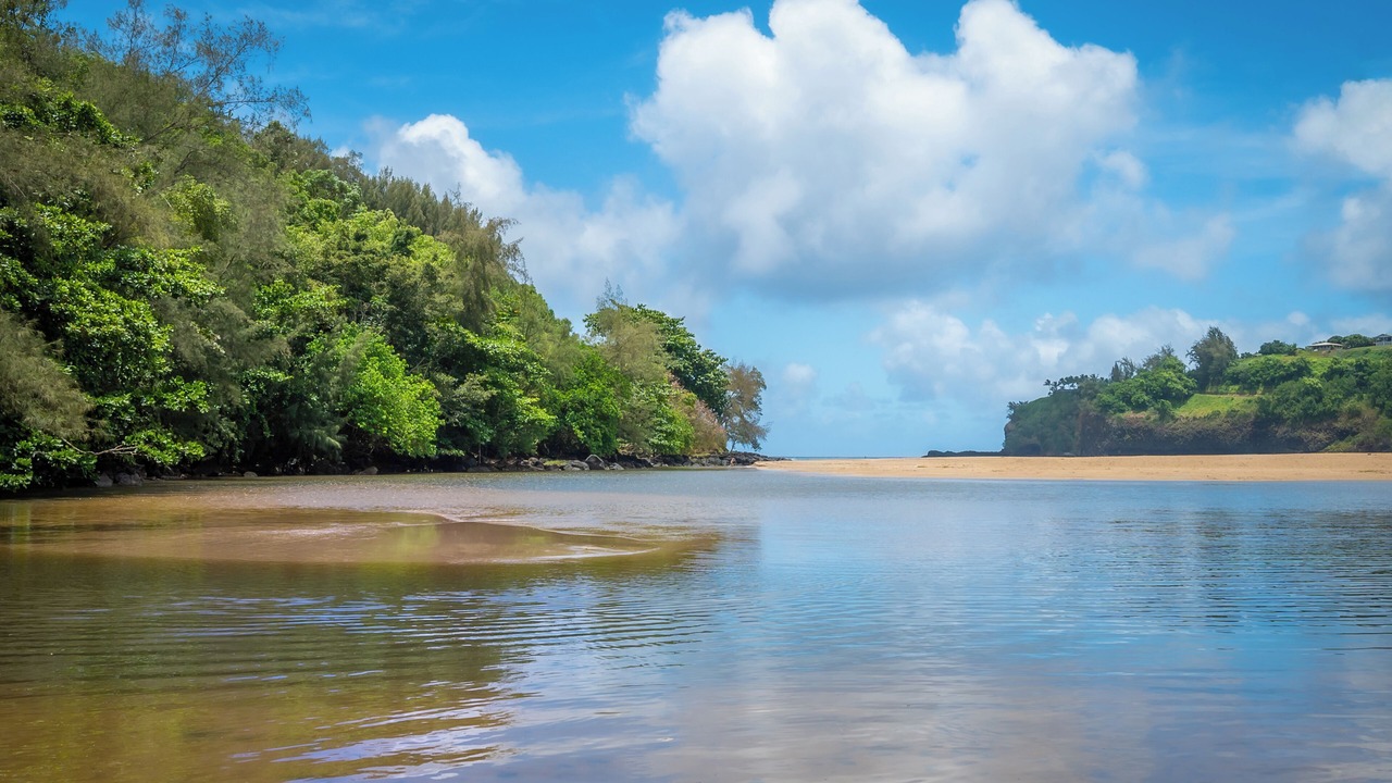 Photo of Others in Kalihiwai
