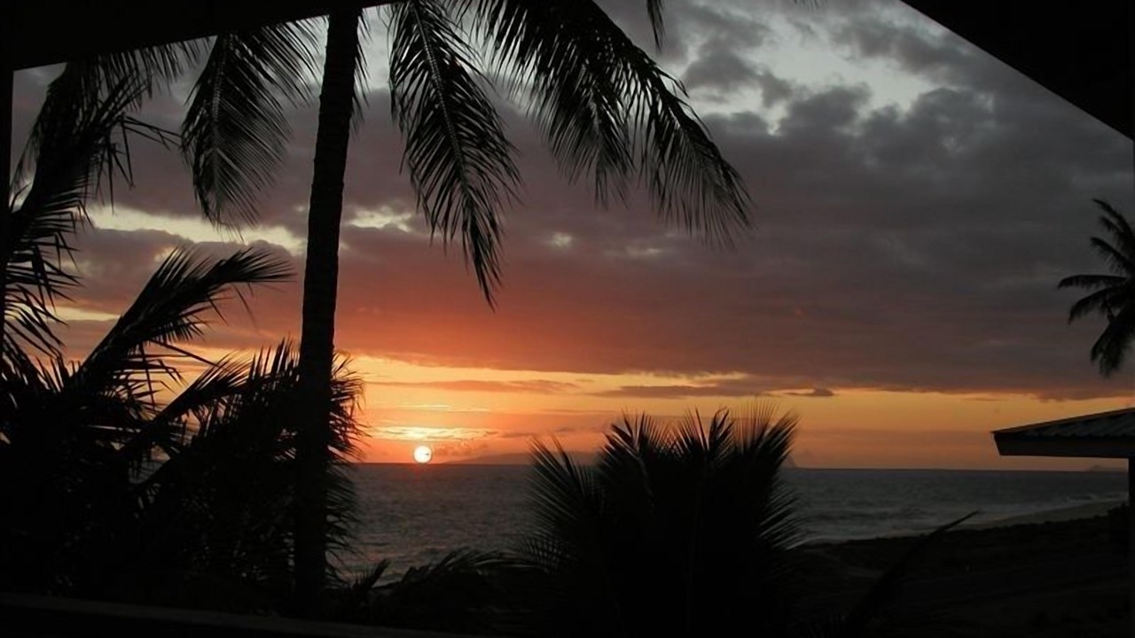 Photo of Others in Kekaha