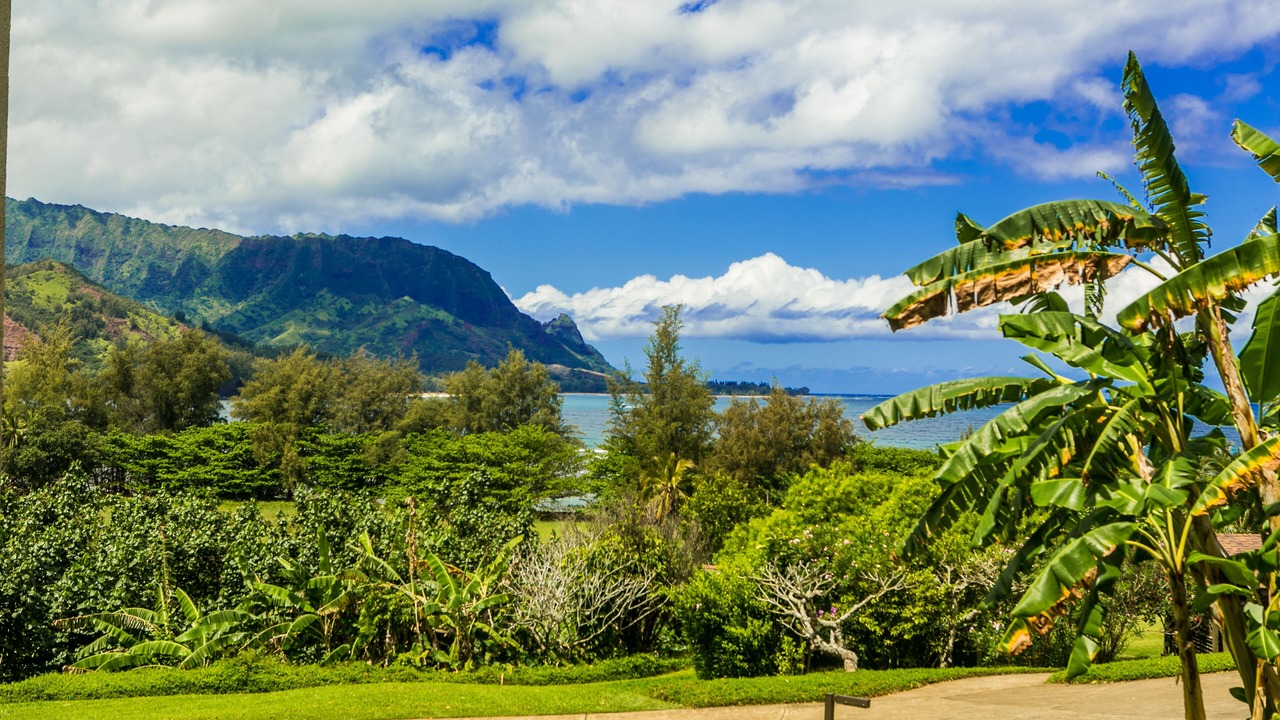 Photo of Others in Princeville