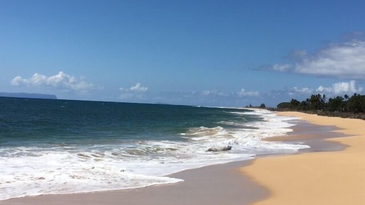 Photo of Others in Kekaha
