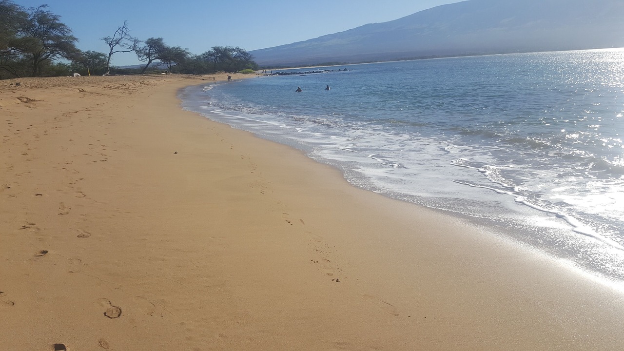 Photo of Others in Maalaea
