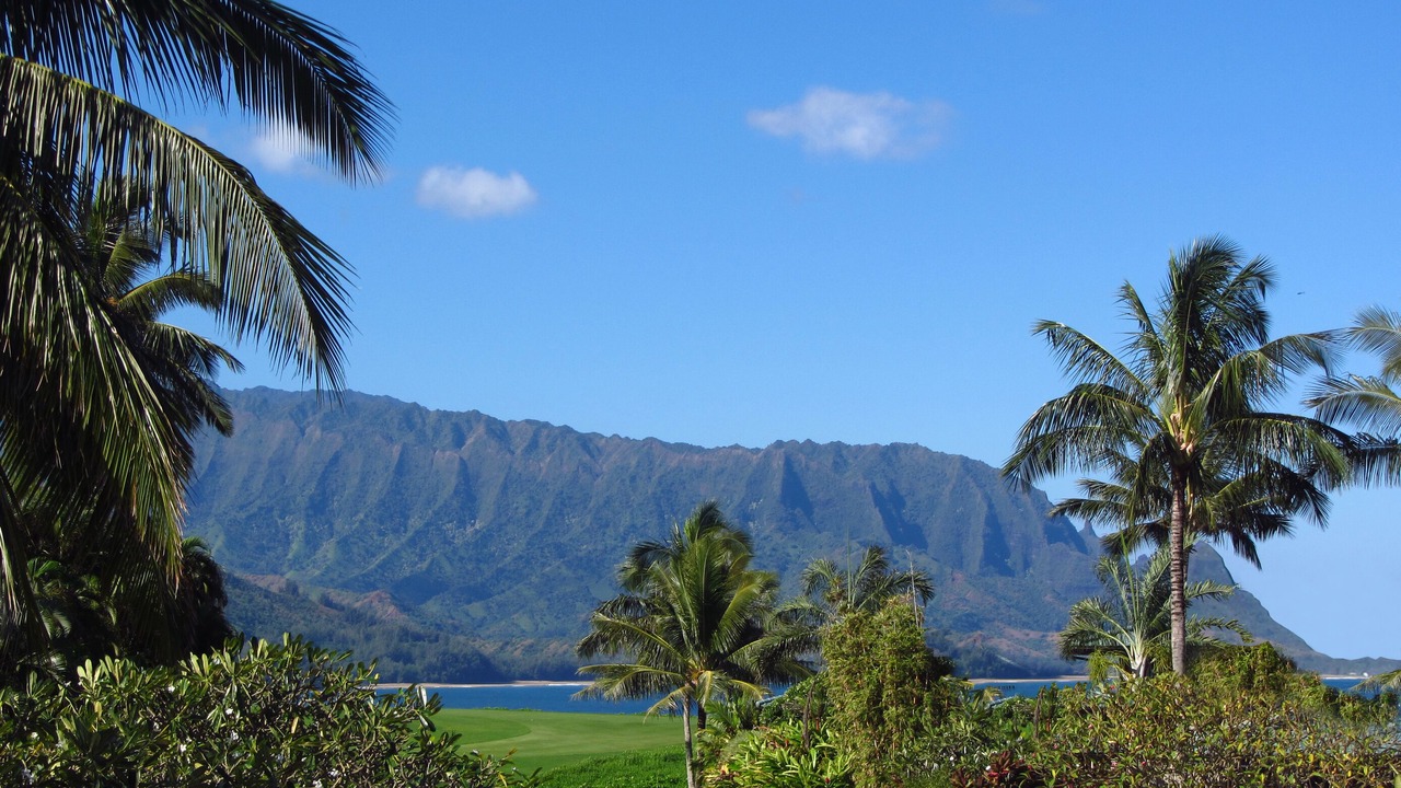 Photo of Others in Princeville