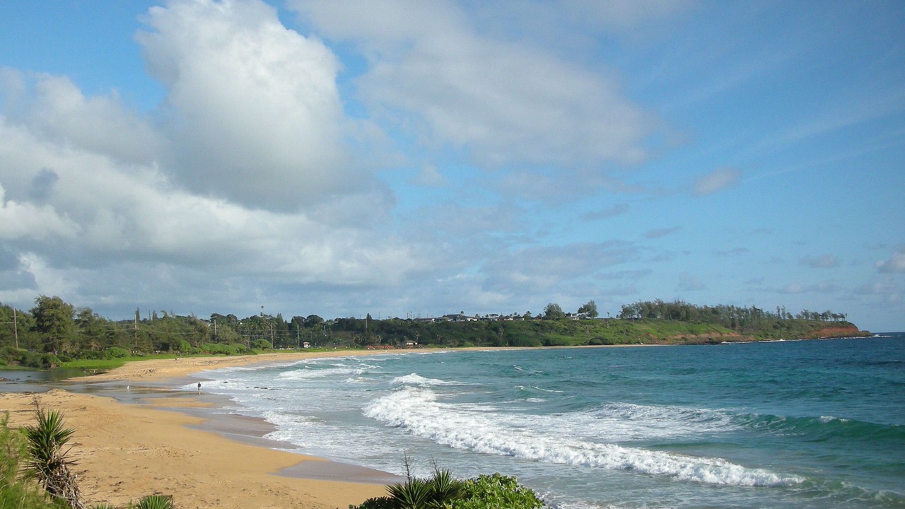 Photo of Others in Kapaa