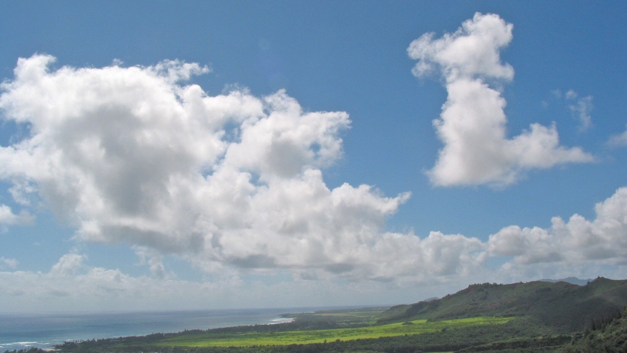 Photo of Others in Kapaa