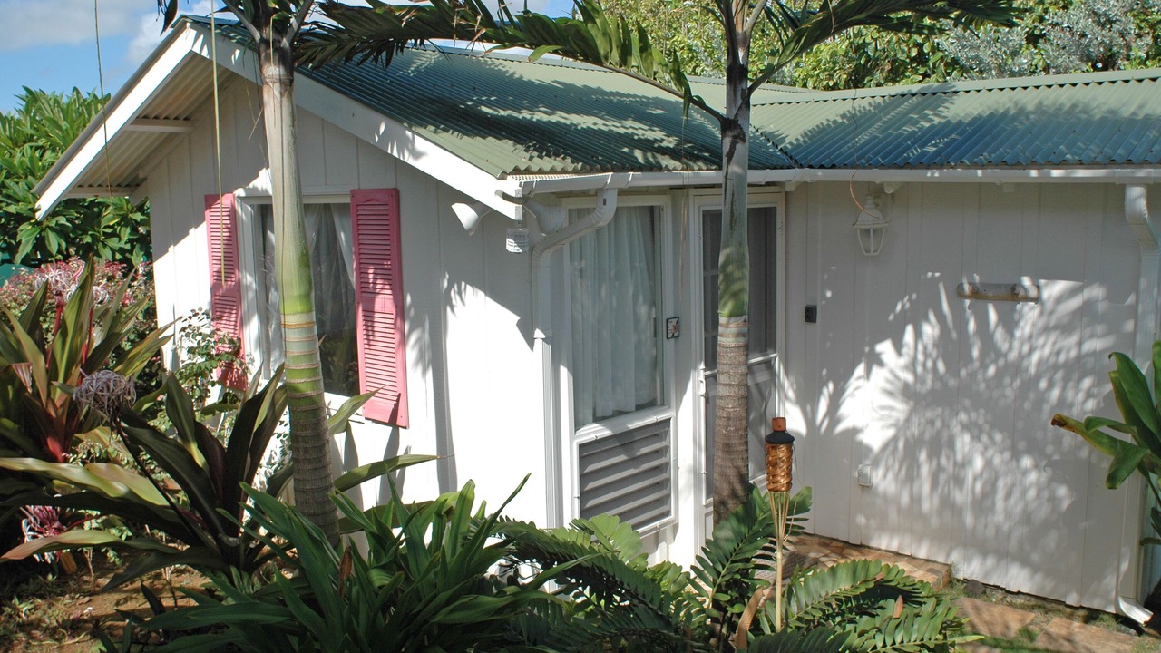 Photo of Others in Kapaa