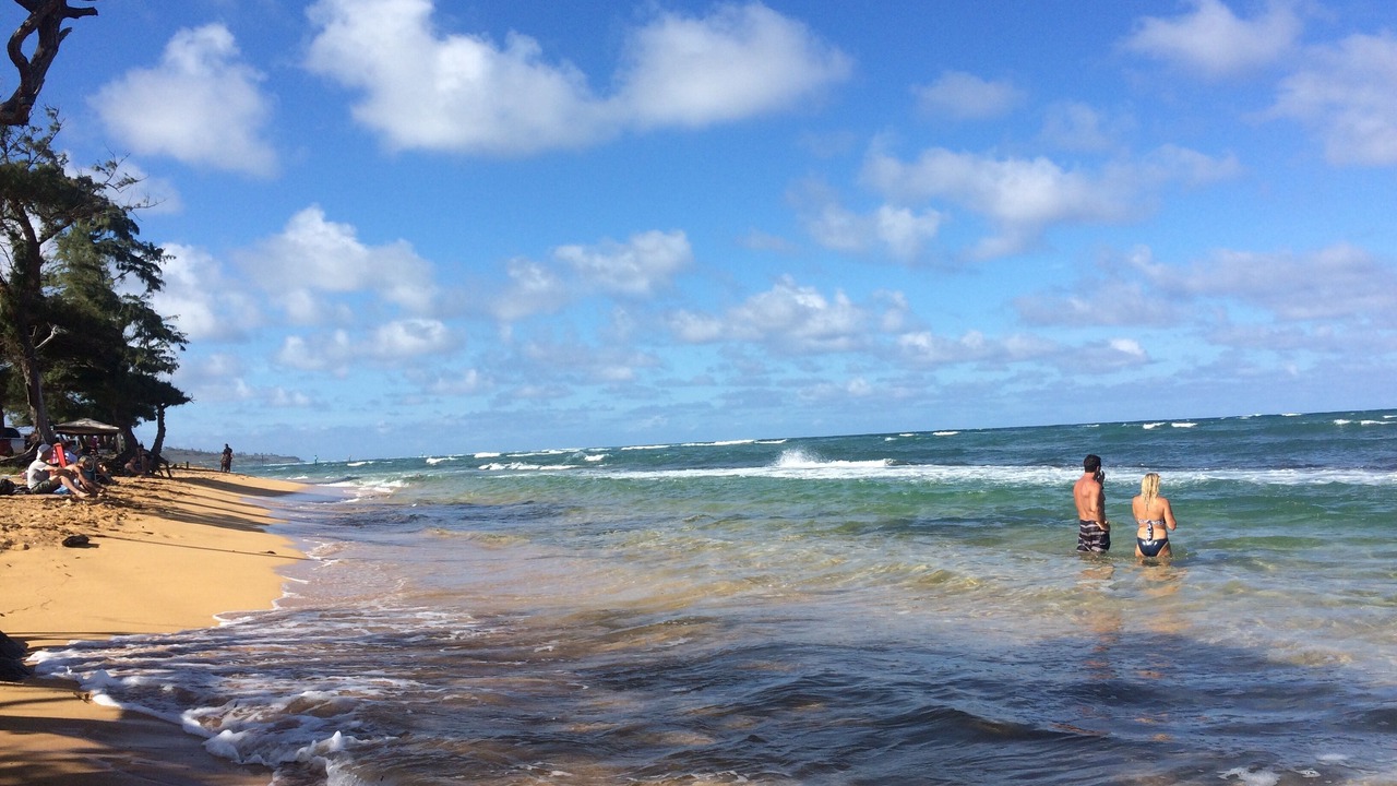 Photo of Others in Kapaa