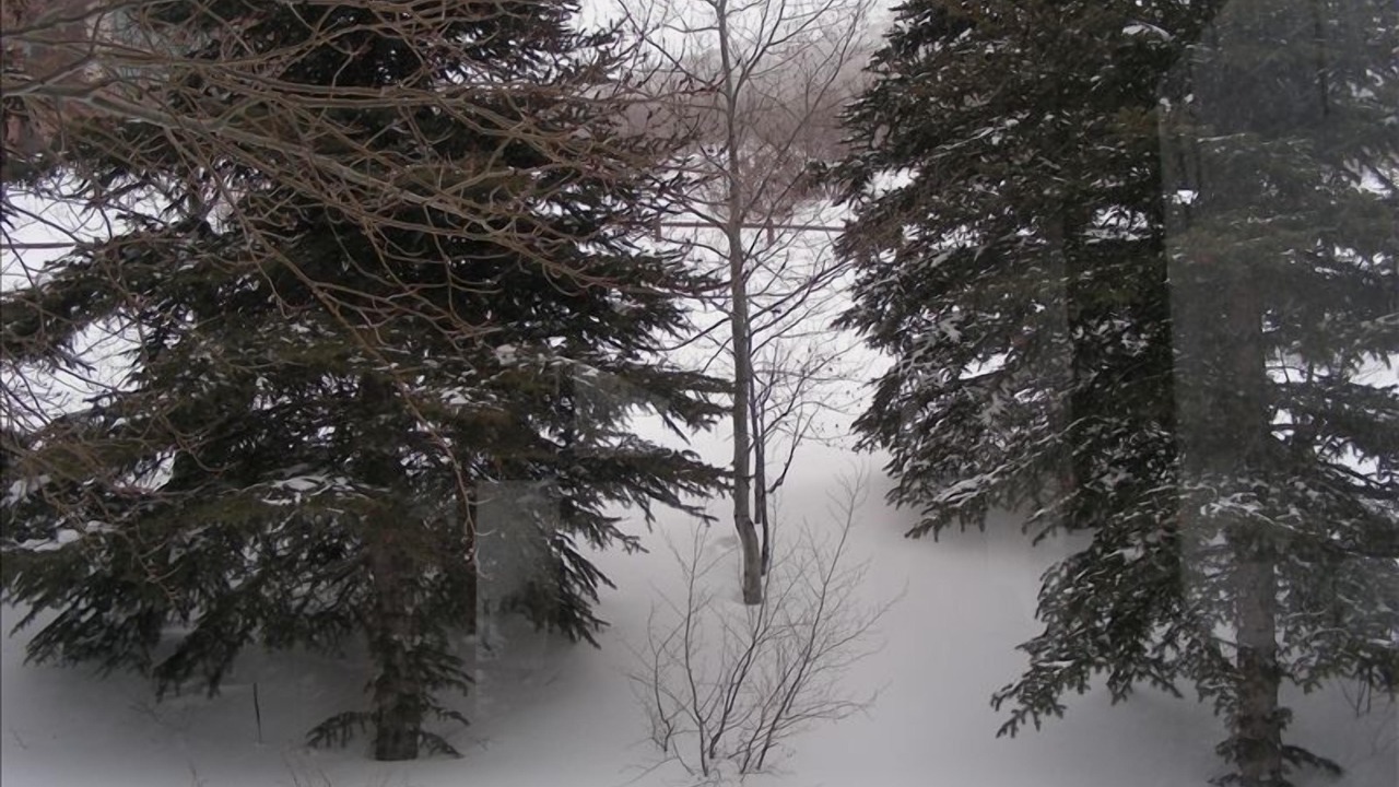 Photo of Others in Deer Valley