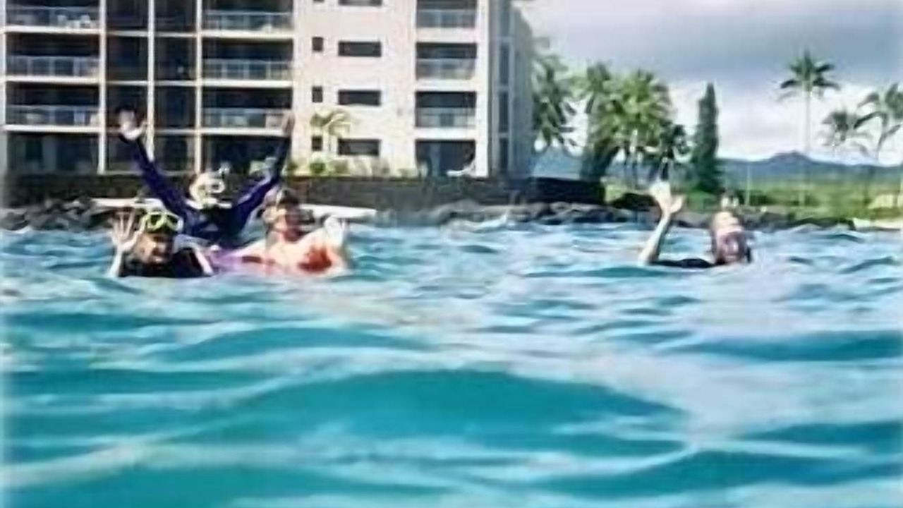 Photo of Others in Poipu