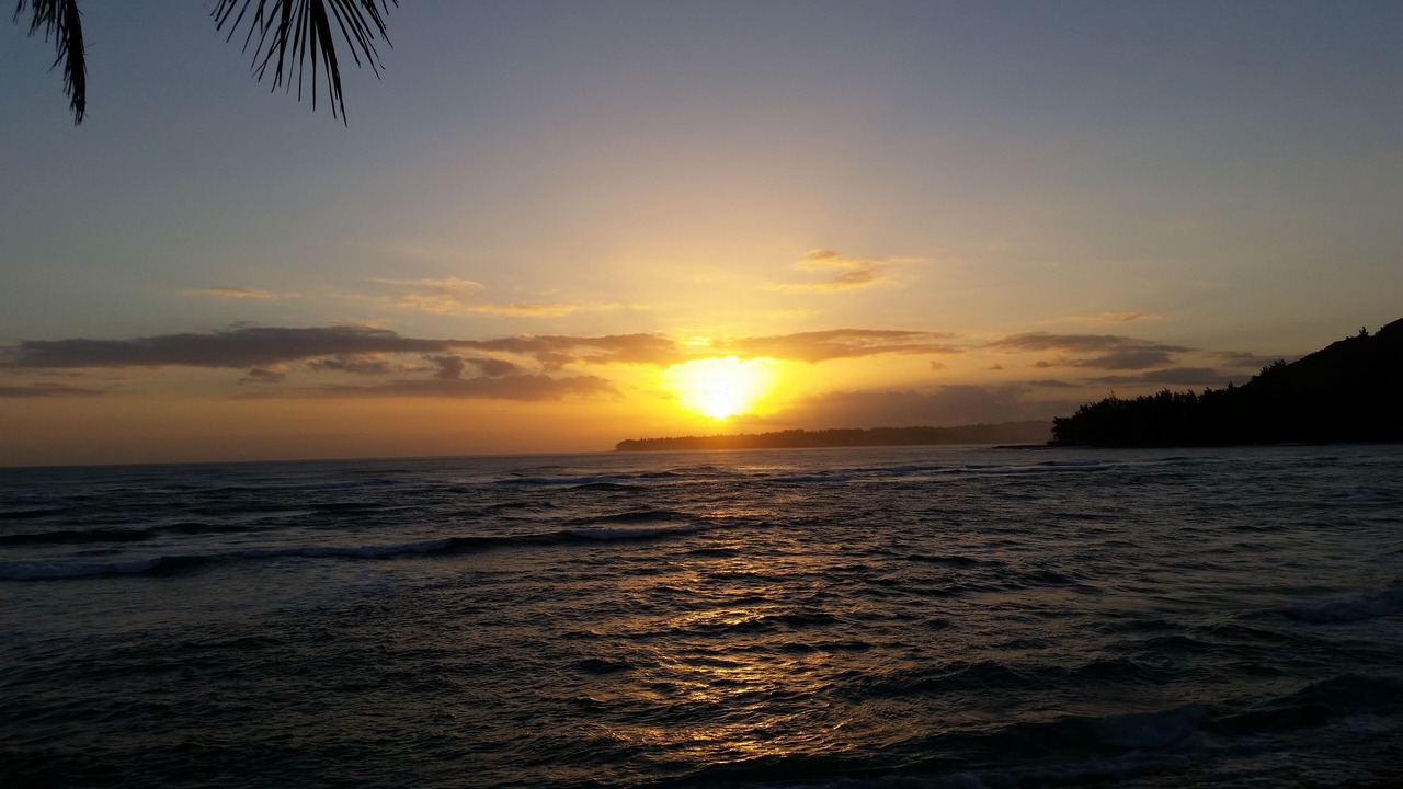 Photo of Others in Wainiha
