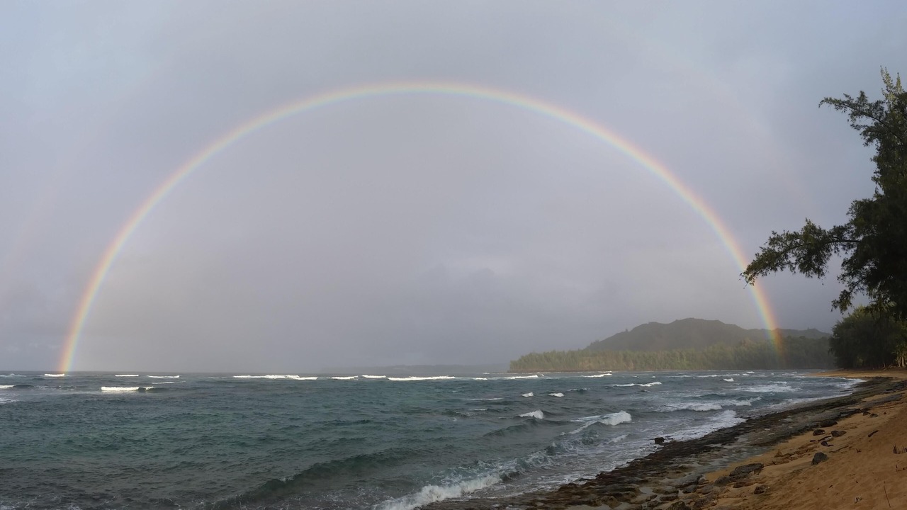 Photo of Others in Wainiha