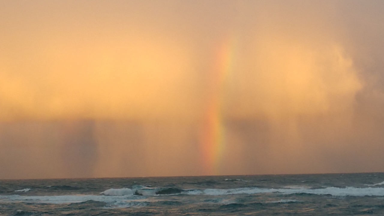 Photo of Others in Wainiha