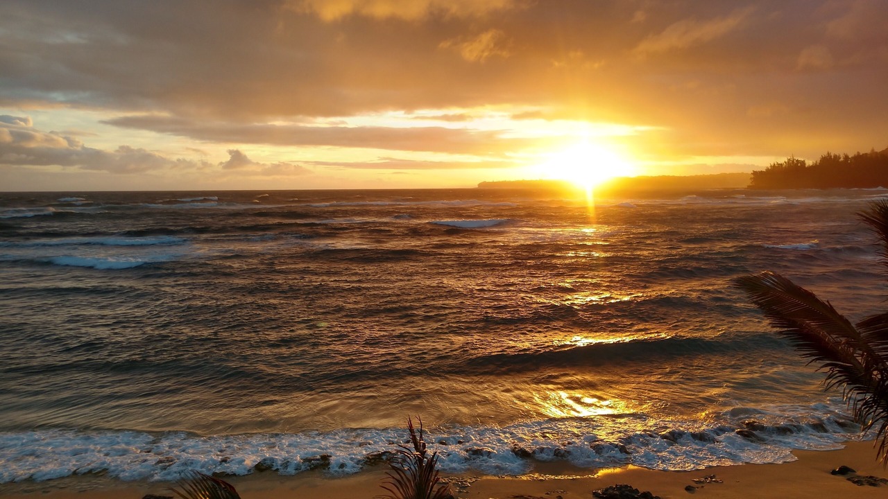 Photo of Others in Wainiha