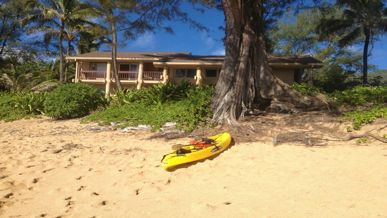Photo of Outdoor in Wainiha