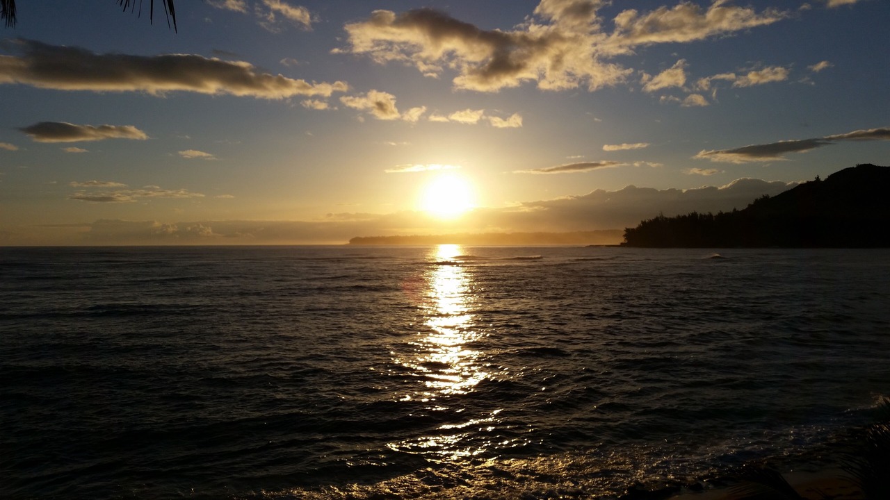 Photo of Others in Wainiha