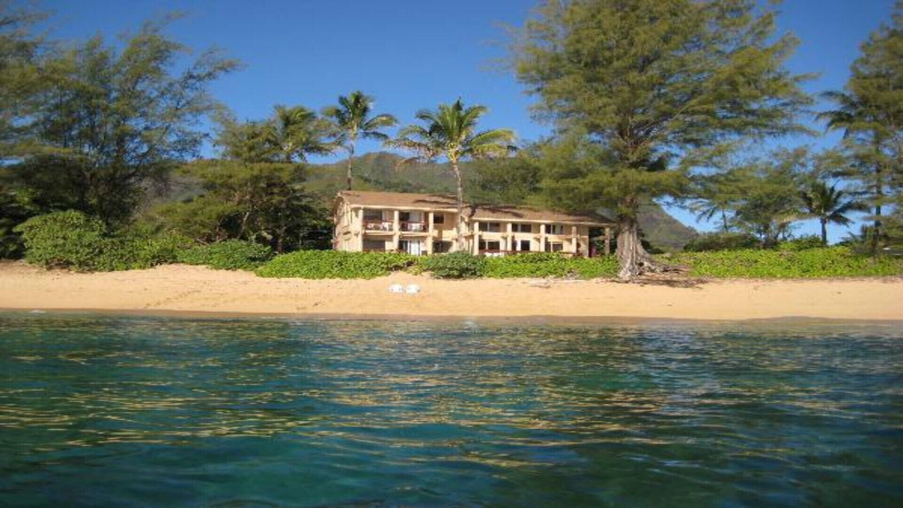 Photo of Others in Wainiha