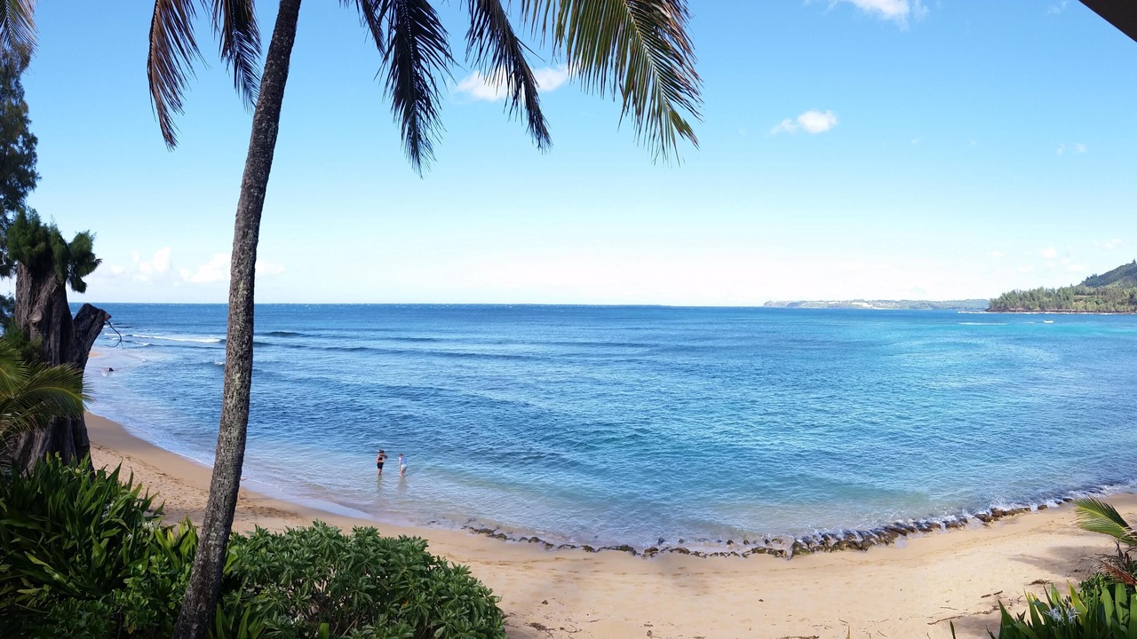 Photo of Others in Wainiha