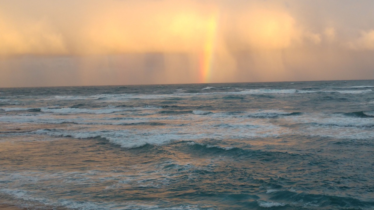 Photo of Others in Wainiha