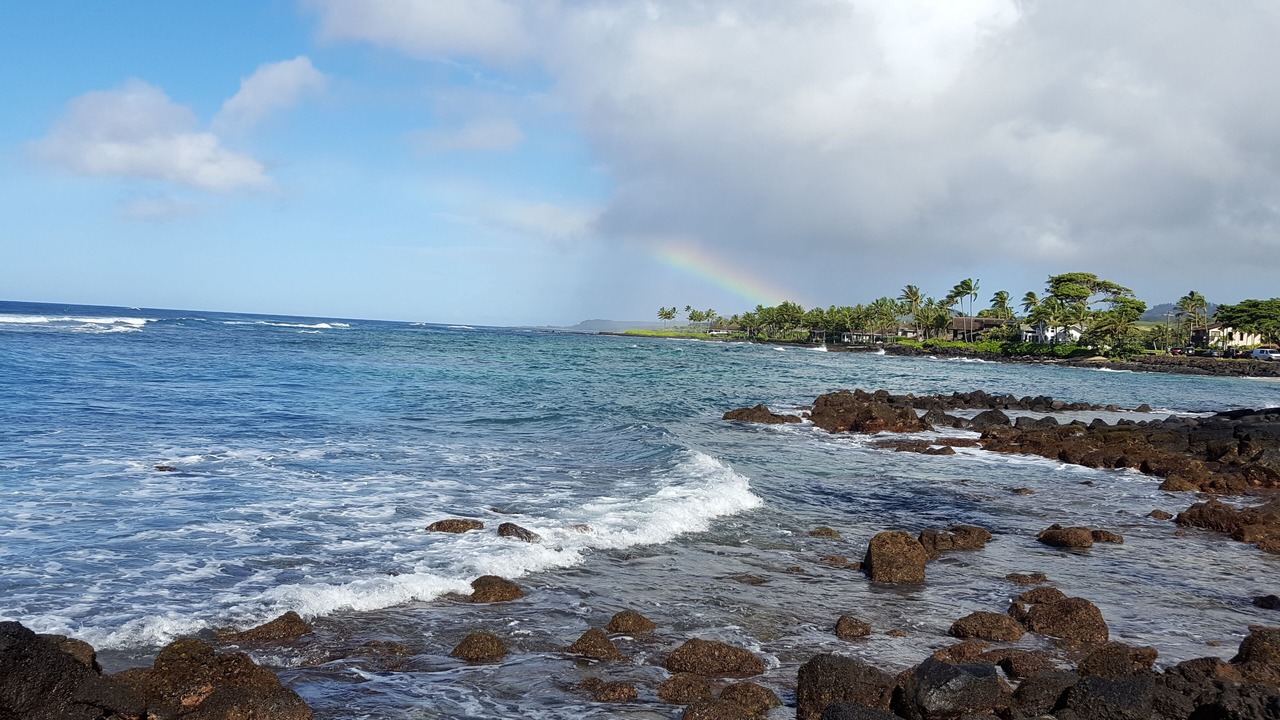 Photo of Others in Poipu