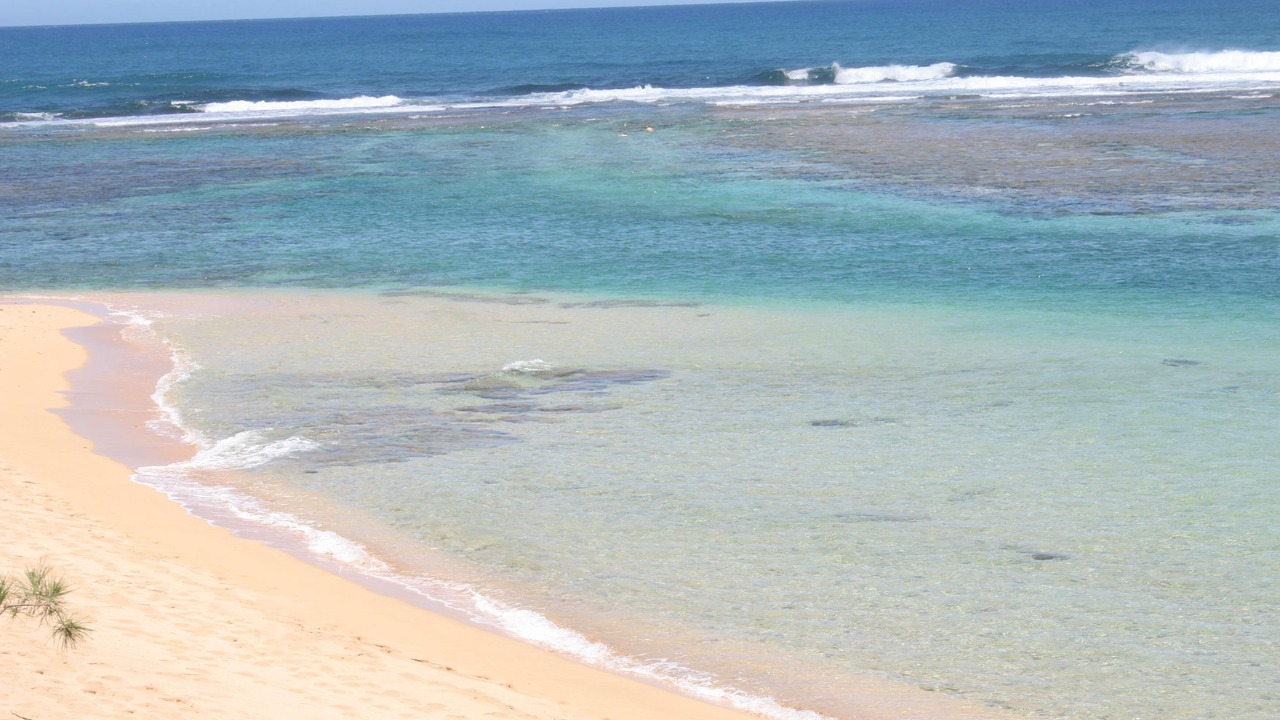 Photo of Others in Wainiha