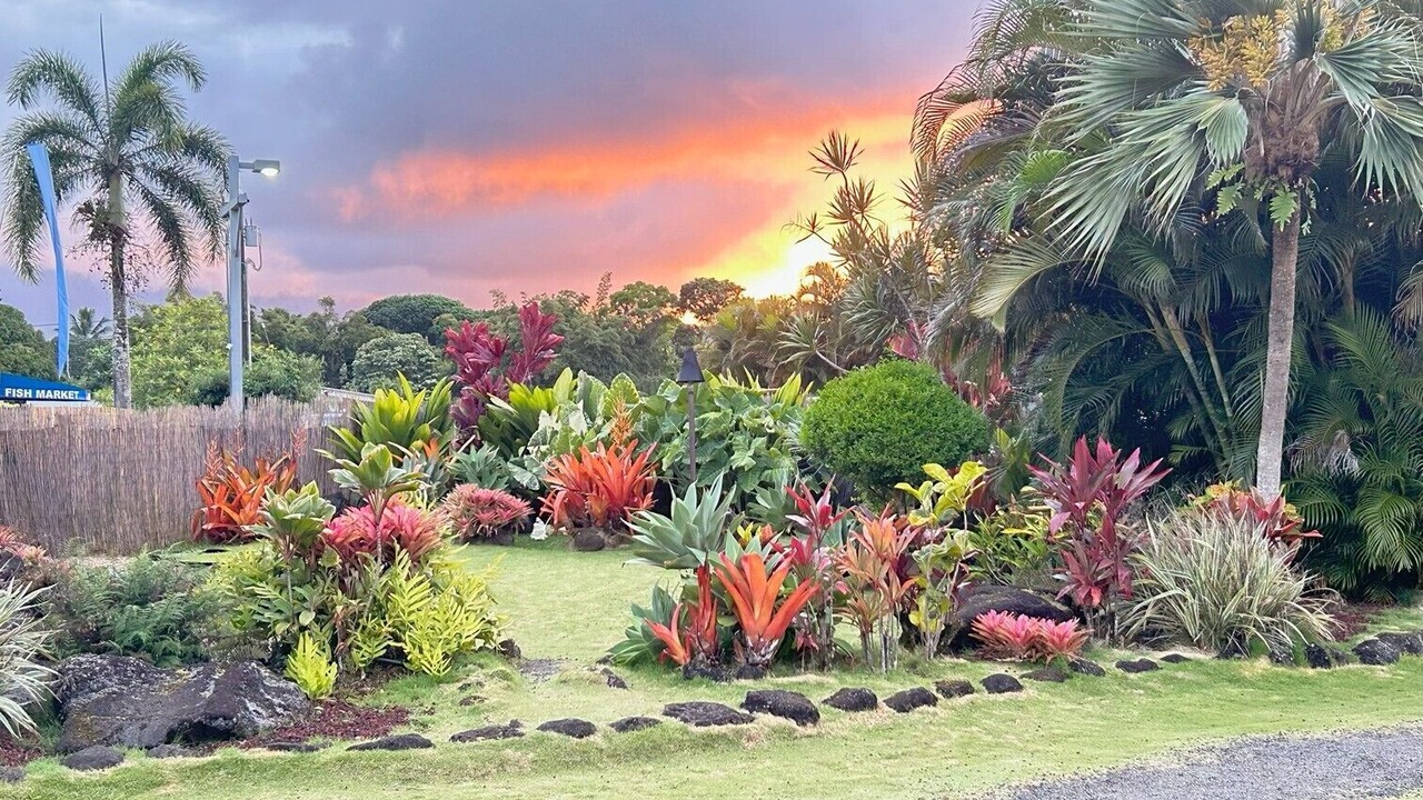 Photo of Others in Wainiha