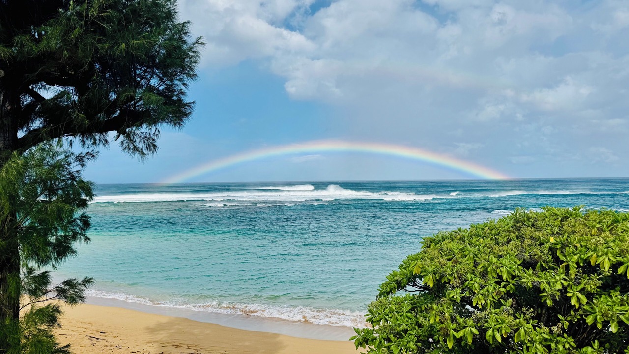 Photo of Bedroom in Wainiha