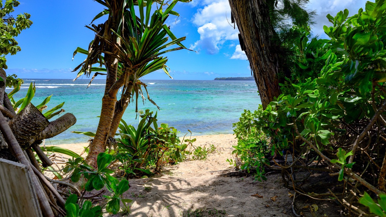 Photo of Others in Wainiha