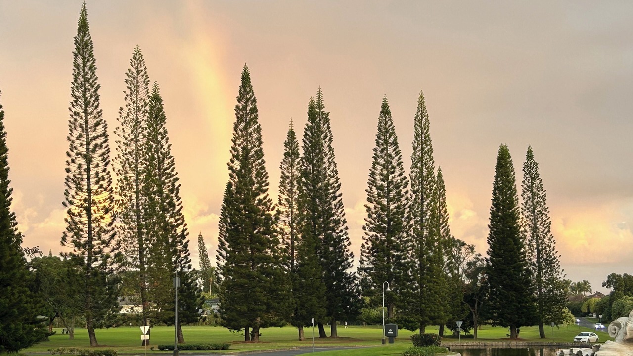 Photo of Others in Princeville