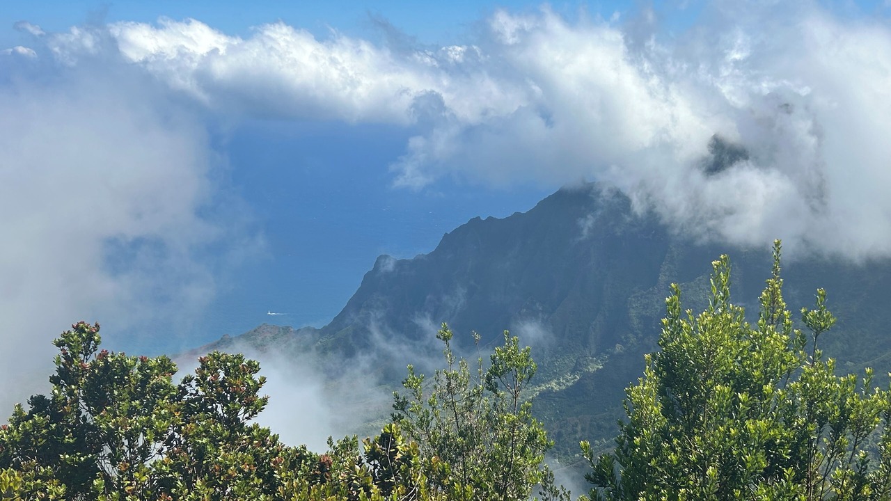 Photo of Others in Princeville