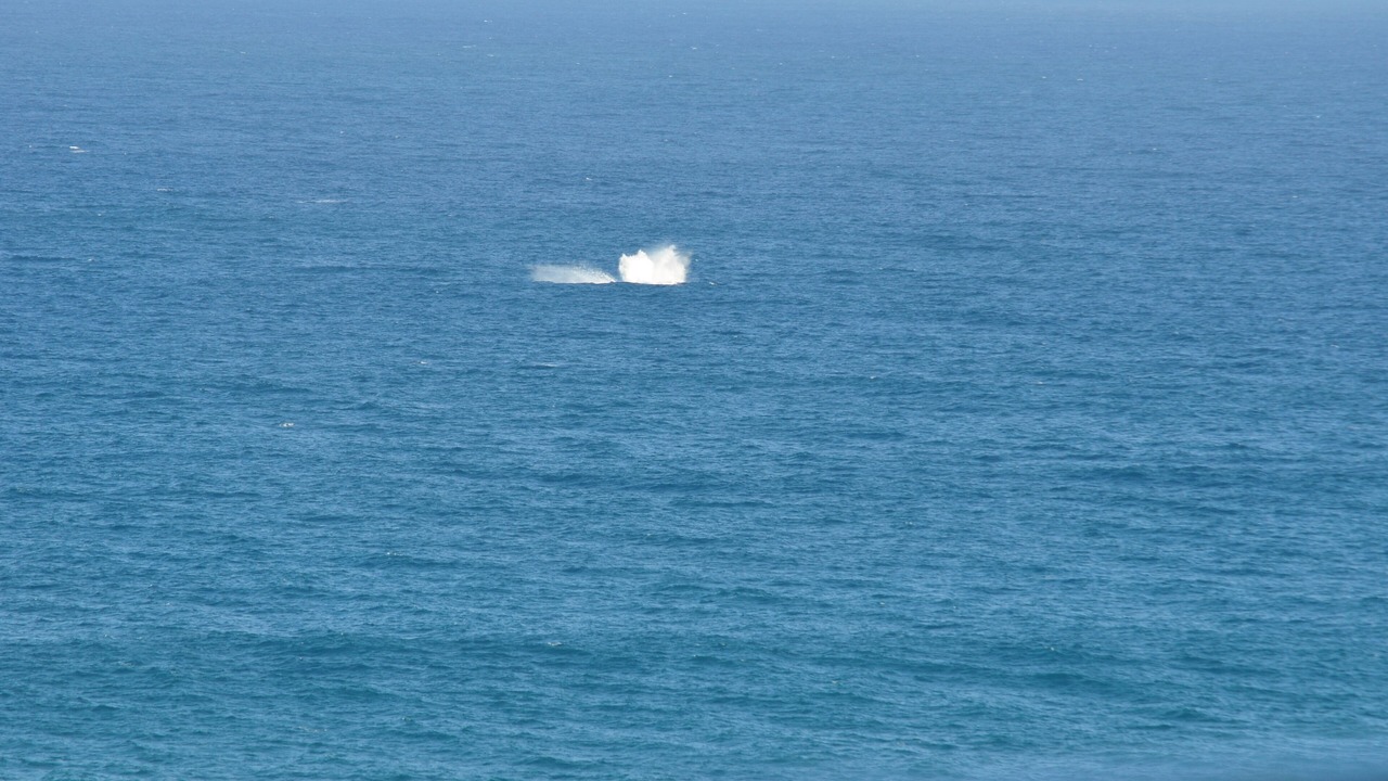 Photo of Others in Princeville