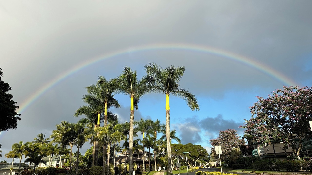 Photo of Others in Princeville