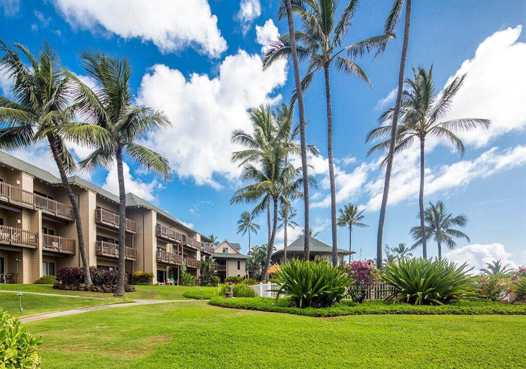 Photo of Outdoor in Lihue