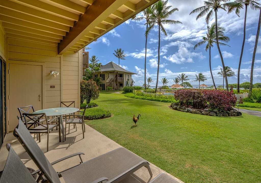 Photo of Outdoor in Lihue