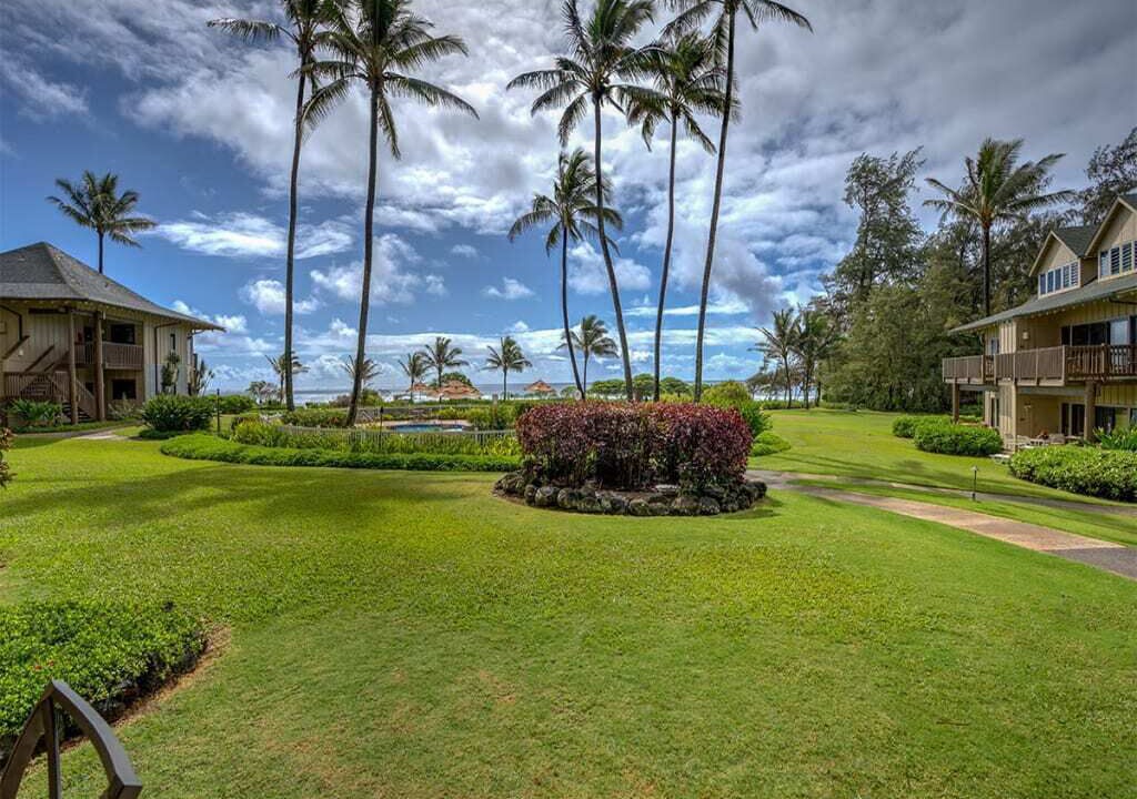 Photo of Outdoor in Lihue