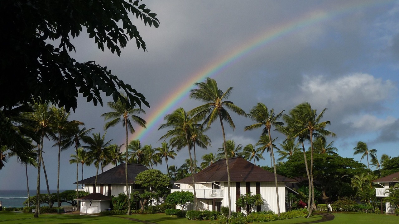 Photo of Others in Poipu