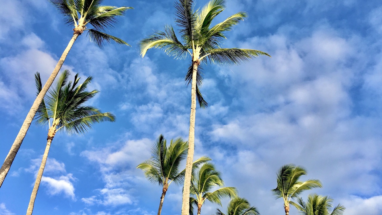 Photo of Others in Poipu
