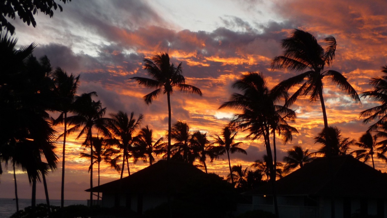 Photo of Others in Poipu