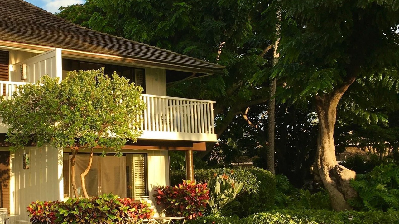 Photo of Others in Poipu