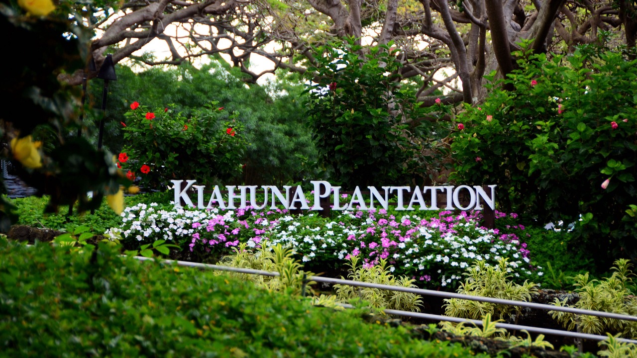 Photo of Outdoor in Poipu