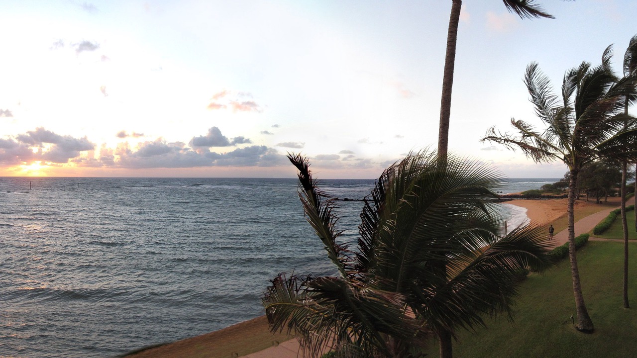 Photo of Others in Kapaa